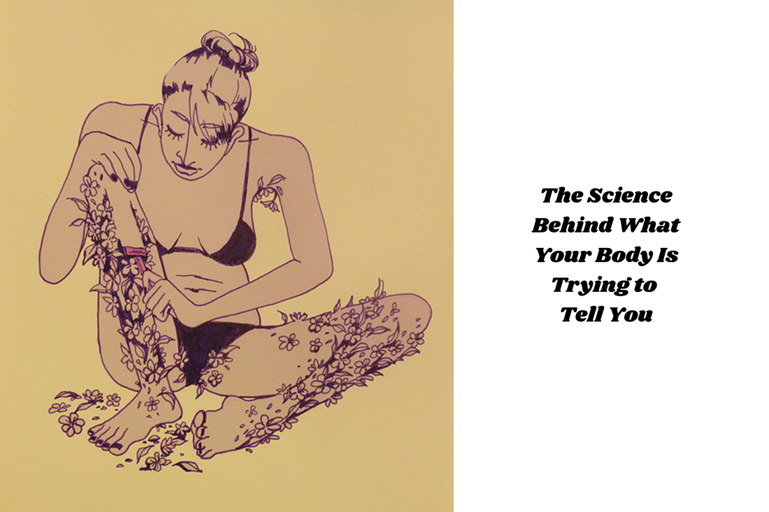 Why Some Women Have More Body Hair Than Others?