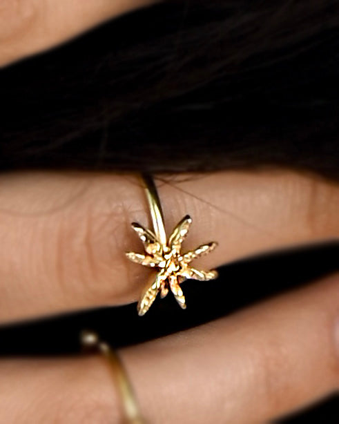 Gold Brass Cinnamon Star Ring at Kamakhyaa by The Loom Art. This item is Brass, Cosmic Dream TLA, Fashion Jewellery, For Daughter, Free Size, Gold, Gold Plated, jewelry, Less than $50, Natural, Products less than $25, Rings, Textured