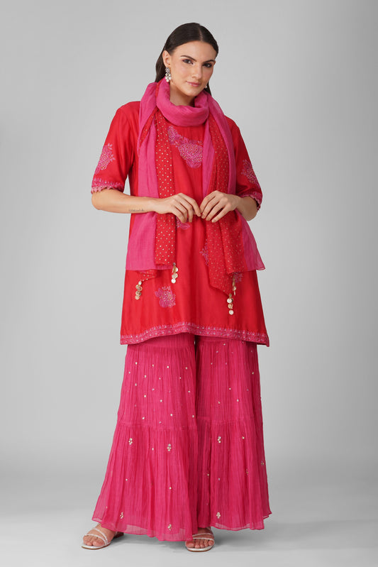 Pink And Red Chanderi Two-Tone Garara Set at Kamakhyaa by Devyani Mehrotra. This item is Chanderi, Hand Embroidered, Indian Wear, Natural, Party Wear, Pink, Red, Regular Fit, Womenswear
