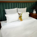 White Elegance Bedsheet with 2 Pillow Covers at Kamakhyaa by Aetherea. This item is 100% Cotton, 300 TC, 400 TC, 500 TC, Bedsheets, Home, King, Plain, Plain Bedsheets, Queen, Solid, White